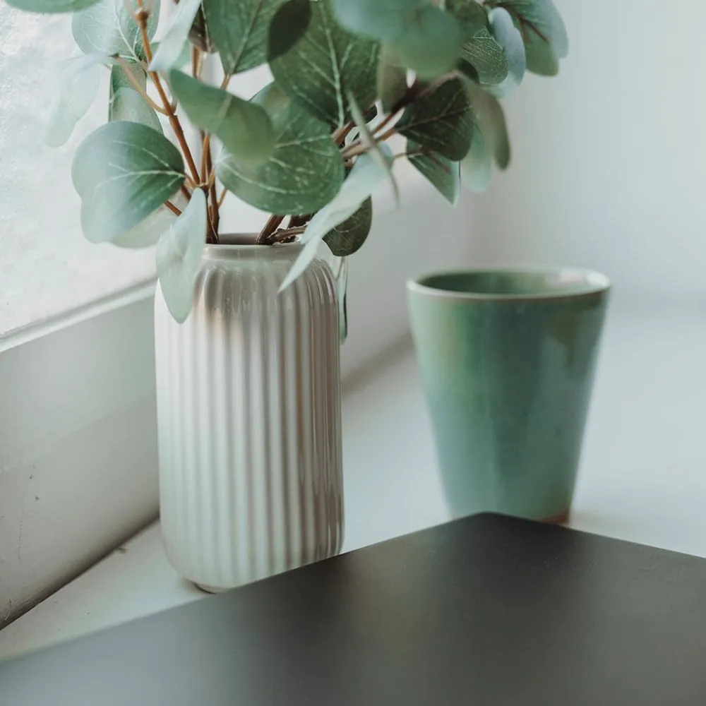 Vase mit Eukalyptus und Tasse auf Fensterbank im ruhigen Coachingraum von Beatrice Häcki